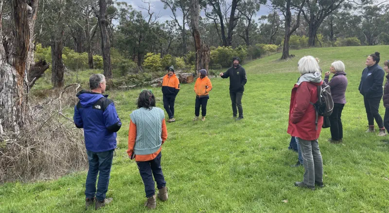 Talking About Blackberry