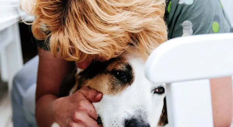 Safe Pets Safe Families