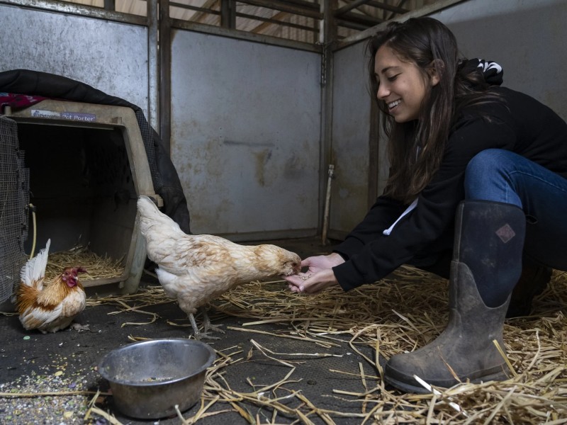 We are looking for volunteers