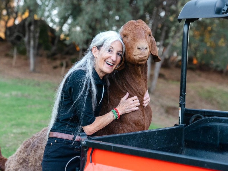 Cape Animal Protection Shelter Inc