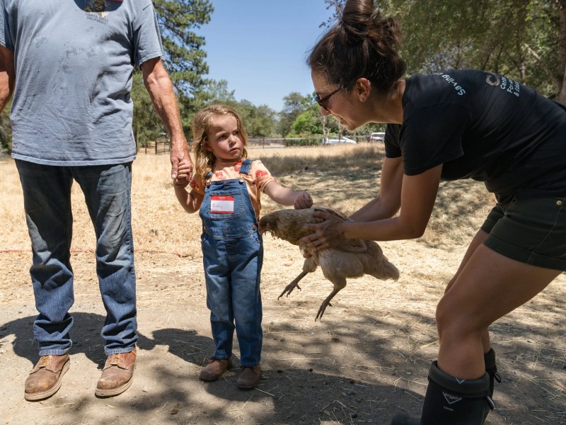 Cape Animal Protection Shelter Inc