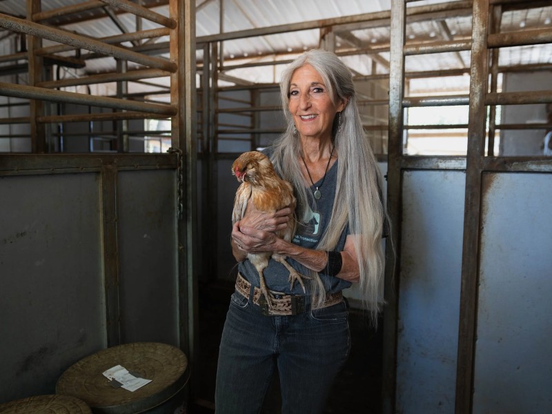 Cape Animal Protection Shelter Inc