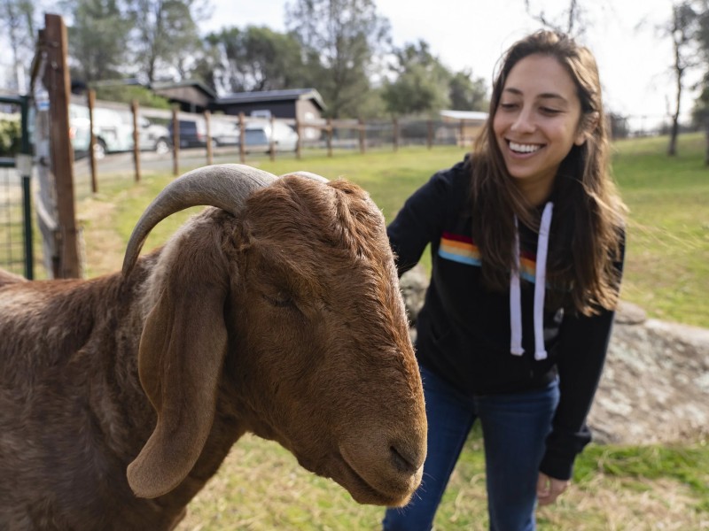 Cape Animal Protection Shelter Inc