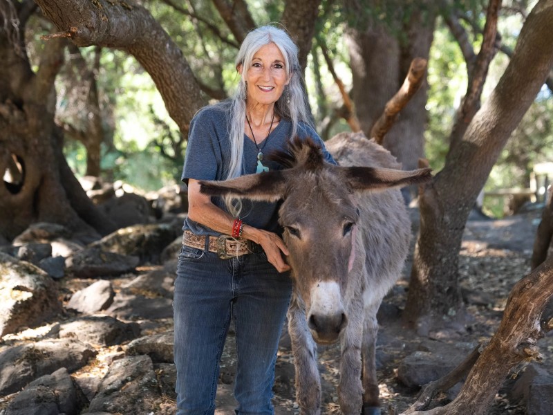 Cape Animal Protection Shelter Inc