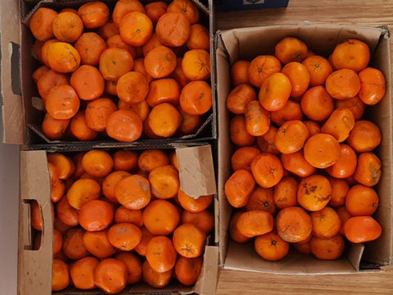 SEEDS OF HOPE SERVICES INC