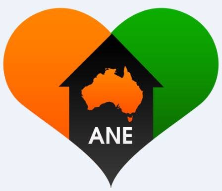 Association Of New Elderly Inc logo