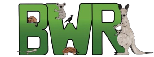 Bannockburn Wildlife Rescue Ltd logo
