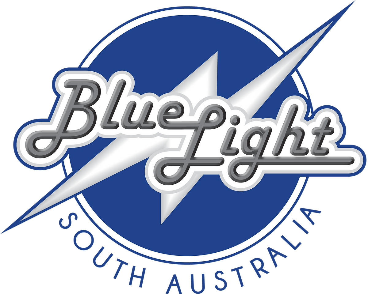 Blue Light Sa Inc logo
