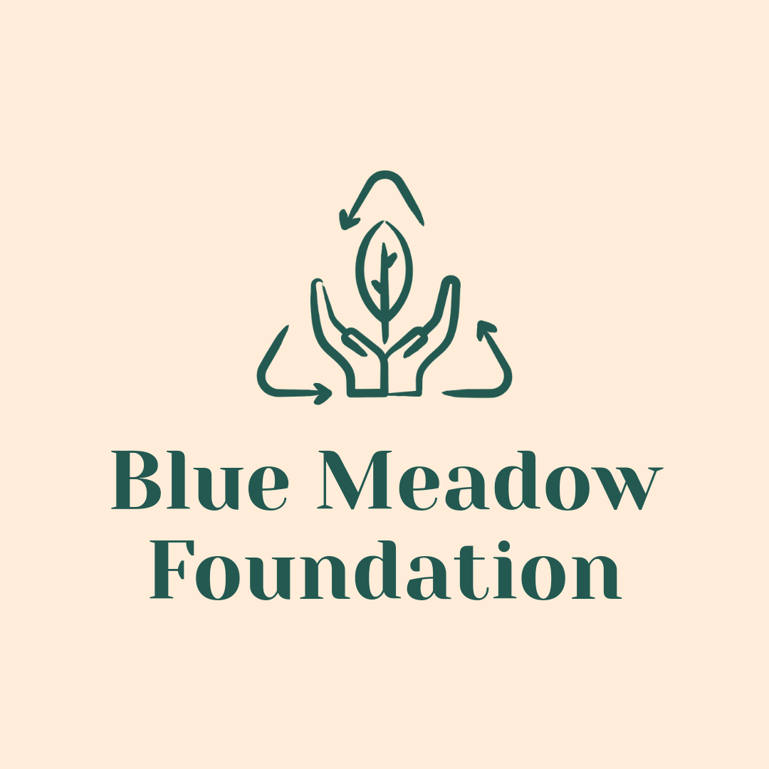 Blue Meadow Foundation Ltd logo