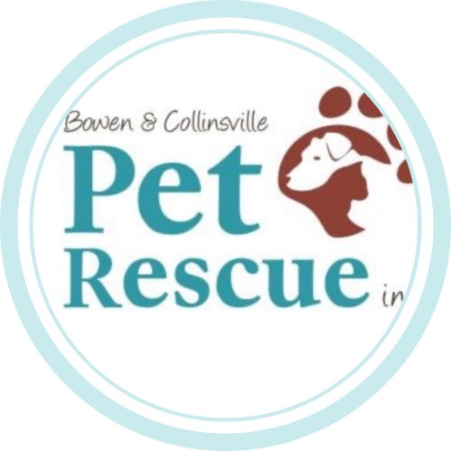 Bowen Collinsville Pet Rescue Inc logo Bowen Collinsville Pet Rescue Inc logo