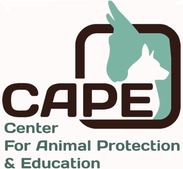 Cape Animal Protection Shelter Inc logo Cape Animal Protection Shelter Inc logo