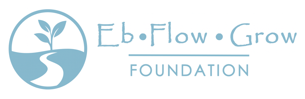 EB FLOW GROW LTD logo