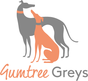 Gumtree Greys logo