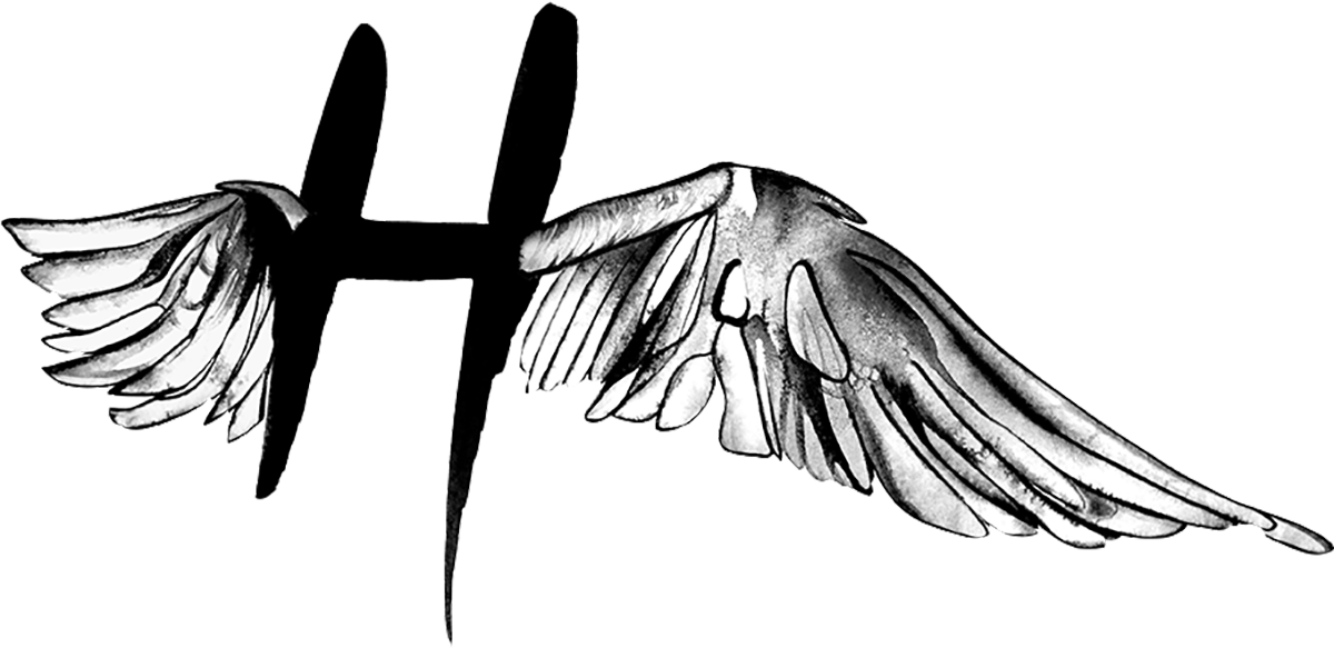 Hark Angel Foundation Ltd logo