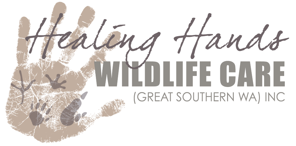 Healing Hands Wildlife Care (Great Southern WA) Inc logo Healing Hands Wildlife Care (Great Southern WA) Inc logo
