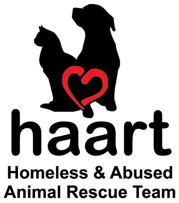 Homeless And Abused Animal Rescue Team Association Inc logo
