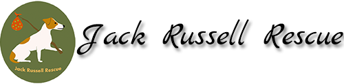 Jack Russell Rescue logo