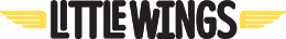 Little Wings Limited logo