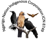 Ngarigo Nation Indigenous Corporation. 8749 logo