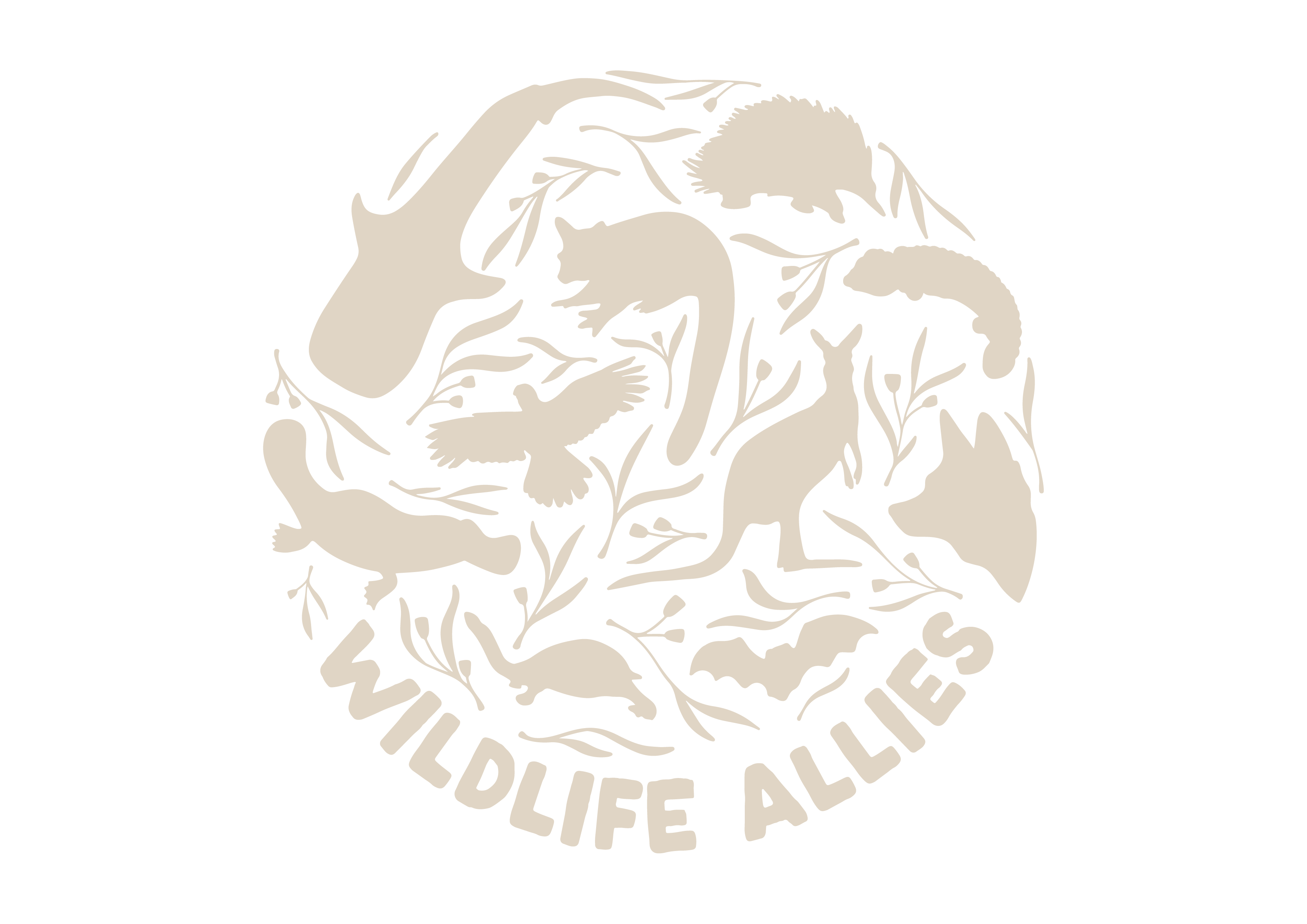 Wildlife Allies Limited logo
